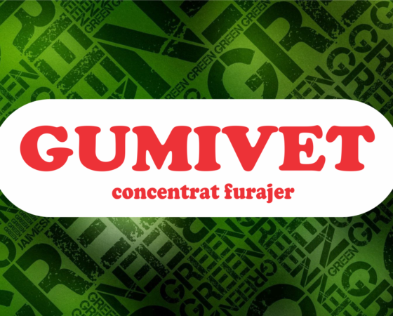One answer to all questions – use Gumivet